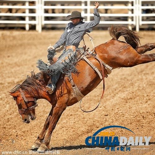 开云-Karsa赛事官方发布败北新规，加拿大队争议不断！的简单介绍