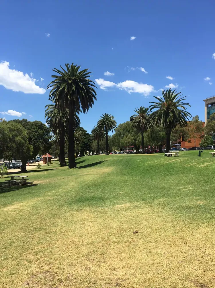 开云体育- 澳大利亚选手 